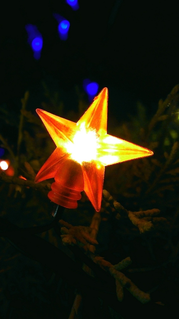 Light, Lighting, Night, Darkness, Plant. Wallpaper in 720x1280 Resolution