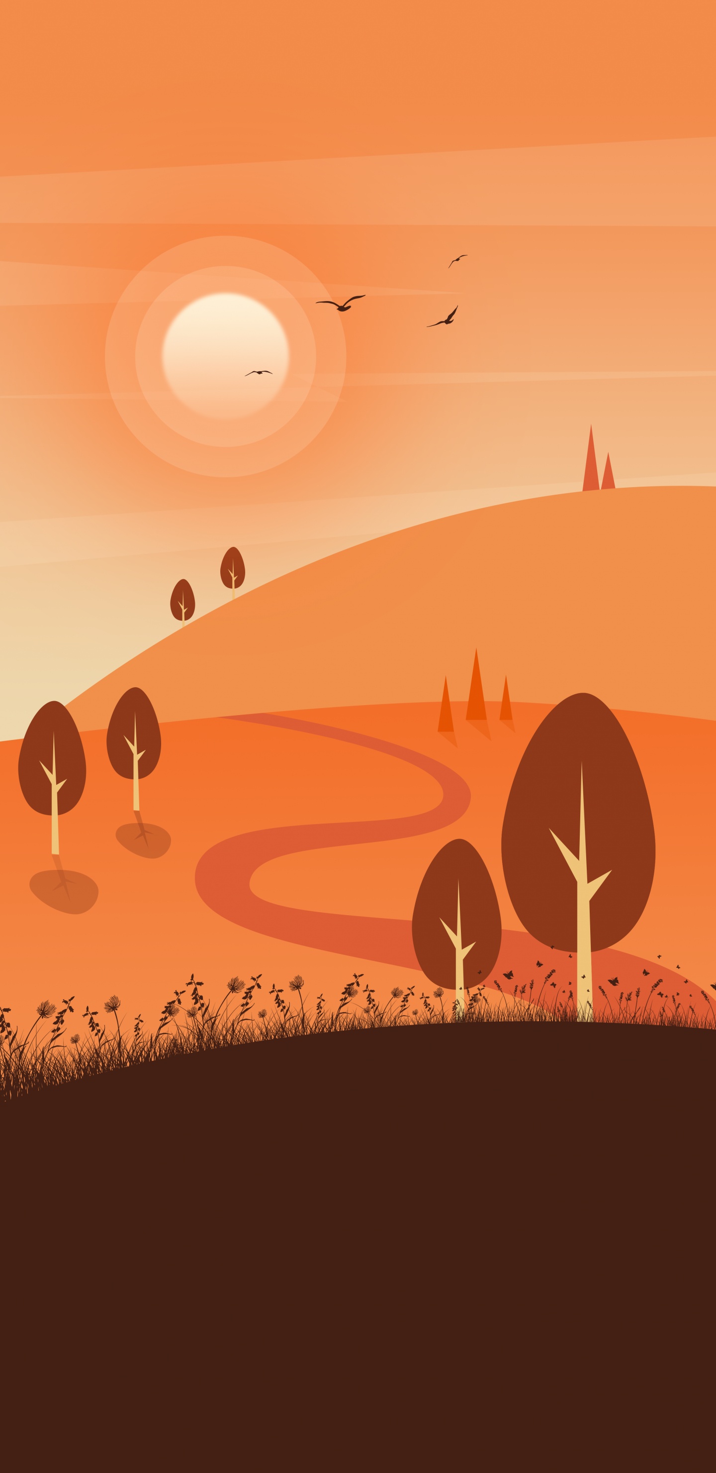 Silhouette D'herbe, Atmosphère, L'écorégion, Nature, Orange. Wallpaper in 1440x2960 Resolution