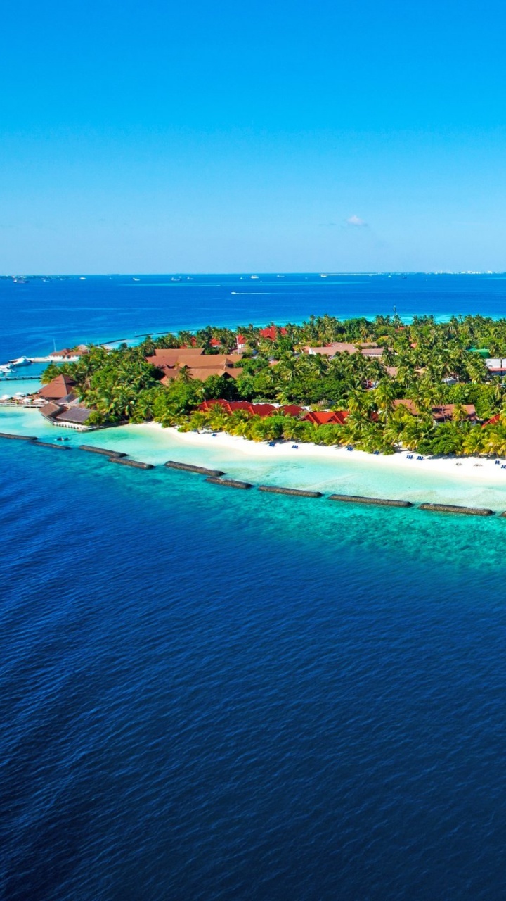 Luftaufnahme Von Grünen Bäumen in Der Nähe Von Gewässern Tagsüber. Wallpaper in 720x1280 Resolution