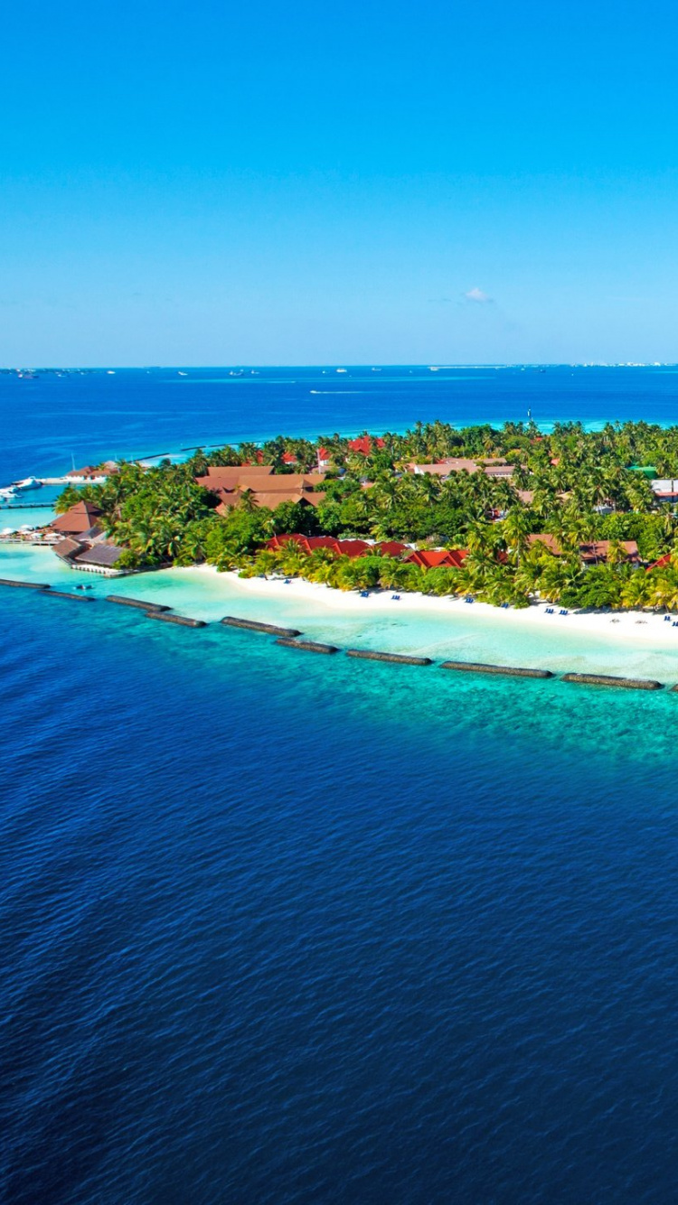 Luftaufnahme Von Grünen Bäumen in Der Nähe Von Gewässern Tagsüber. Wallpaper in 750x1334 Resolution