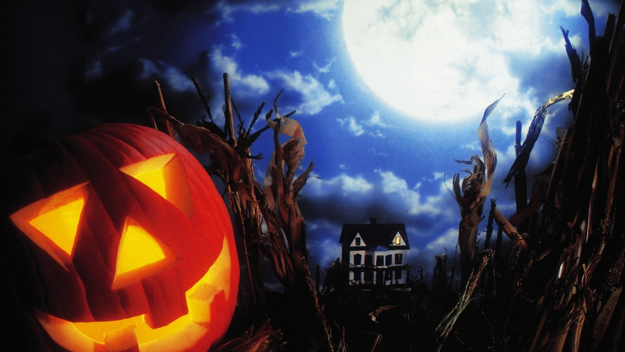 Calabaza, Festival, Halloween, Jack o Lantern, Partie. Wallpaper in 1280x720 Resolution