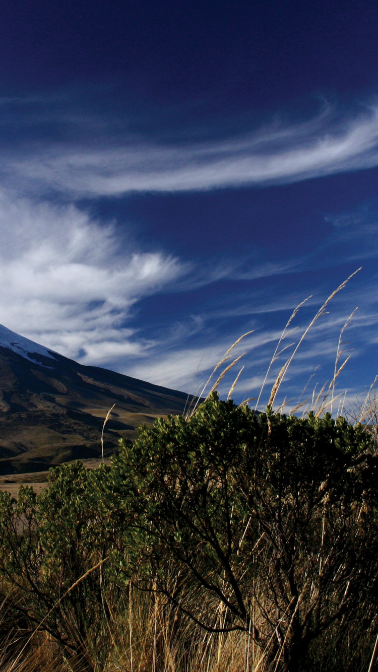 安装的风景, 度假, 多山的地貌, 高地, 荒野 壁纸 750x1334 允许