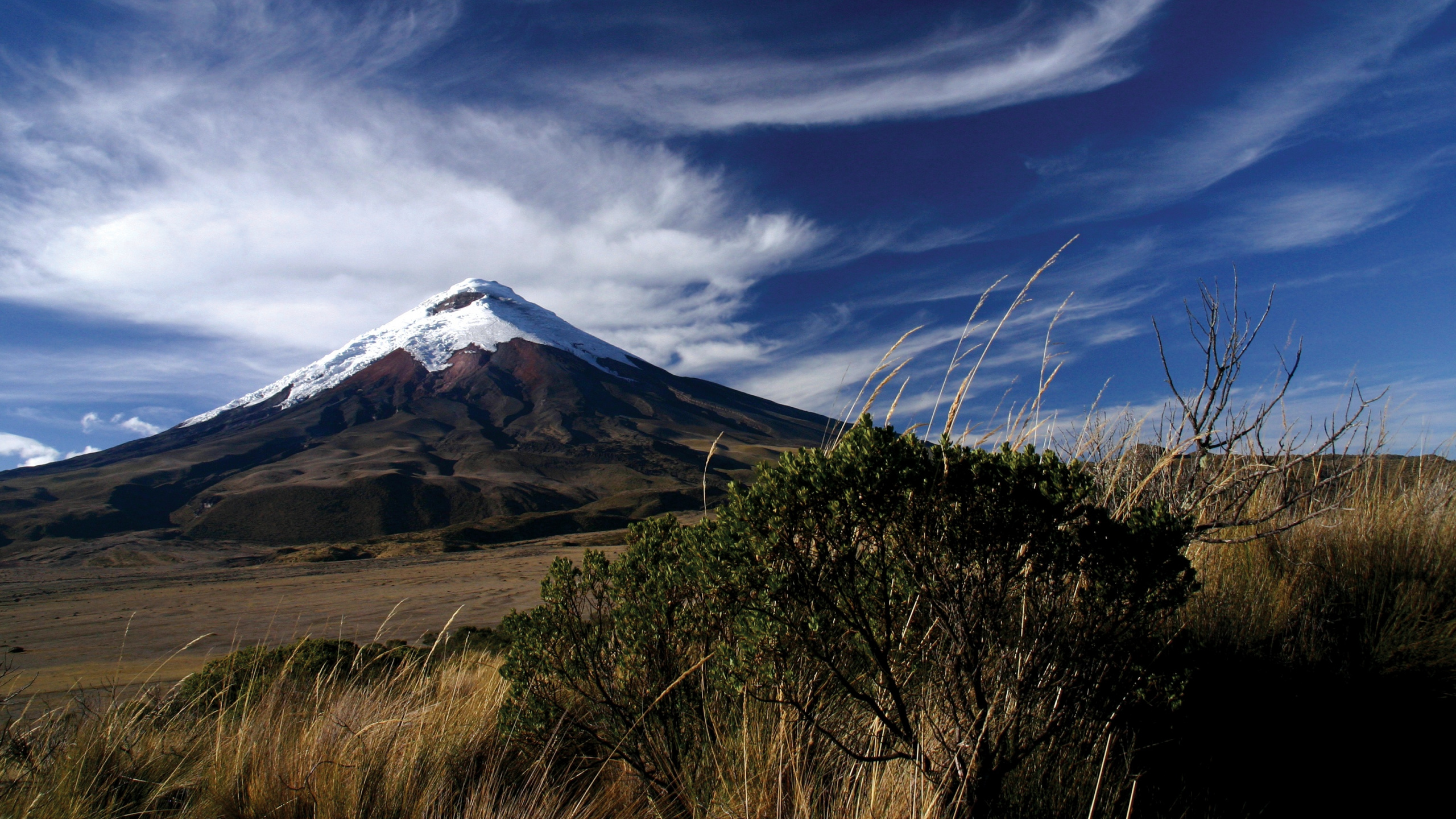 Champ D'herbe Verte Près de la Montagne Sous un Ciel Bleu Pendant la Journée. Wallpaper in 2560x1440 Resolution