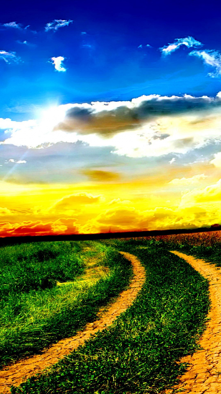 Green Grass Field Under Blue Sky During Sunset. Wallpaper in 750x1334 Resolution