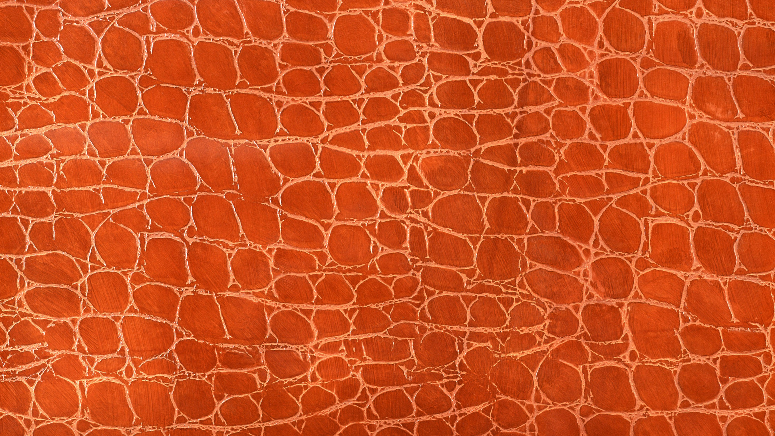 Textile Motif Girafe Marron et Blanc. Wallpaper in 2560x1440 Resolution