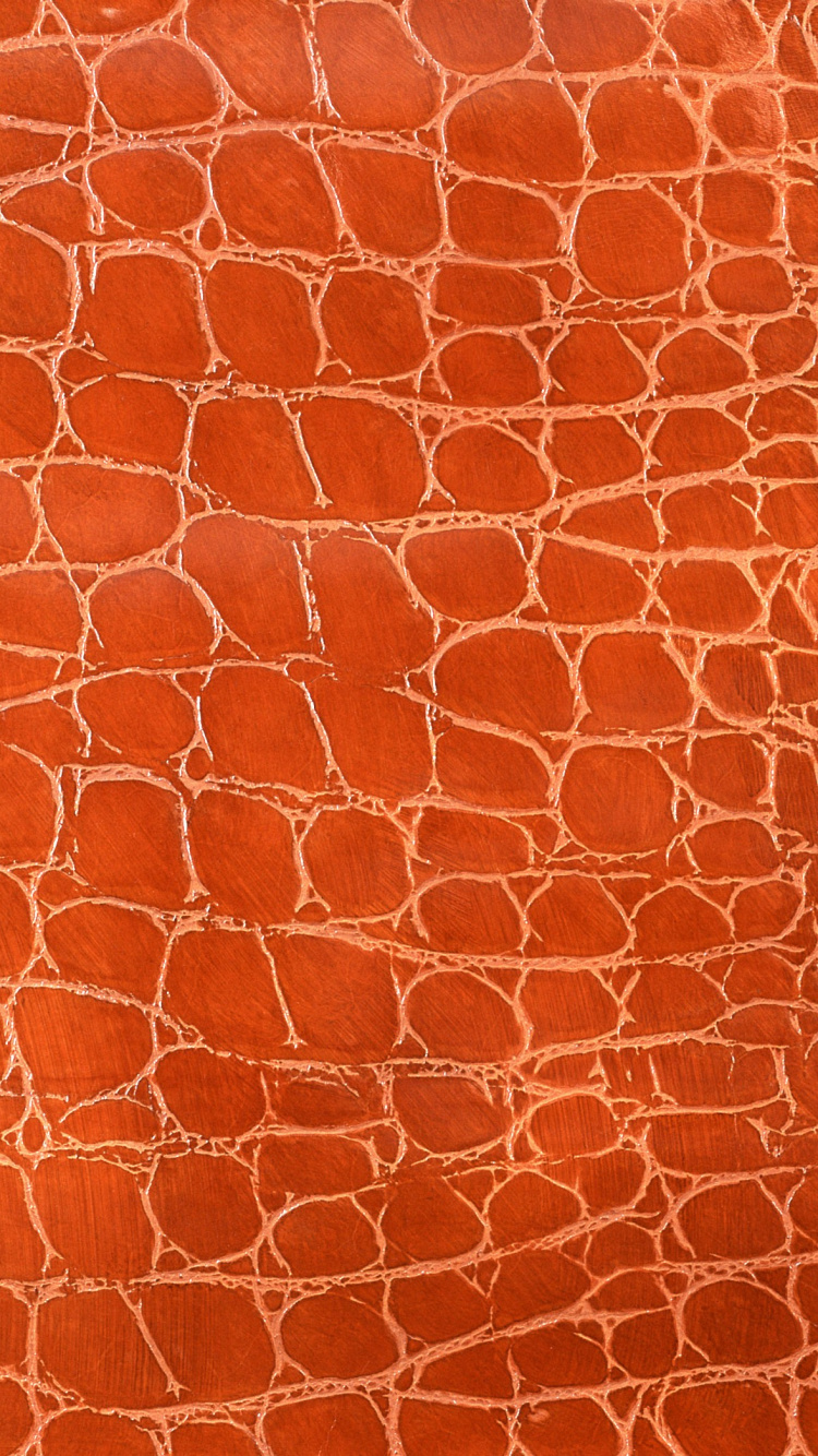 Brown and White Giraffe Pattern Textile. Wallpaper in 750x1334 Resolution