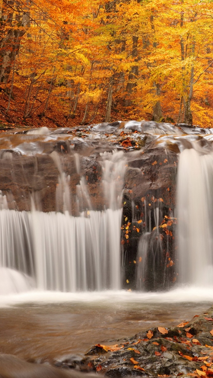 el Agua Cae en el Bosque. Wallpaper in 720x1280 Resolution
