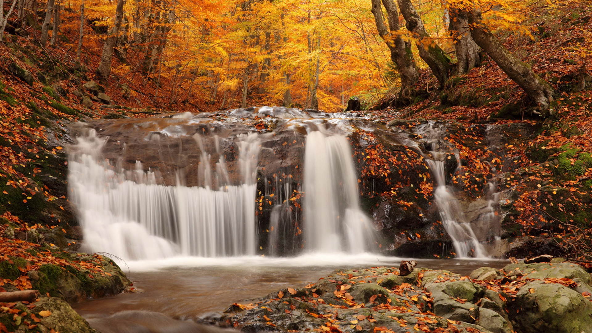 Water Falls in The Forest. Wallpaper in 1920x1080 Resolution
