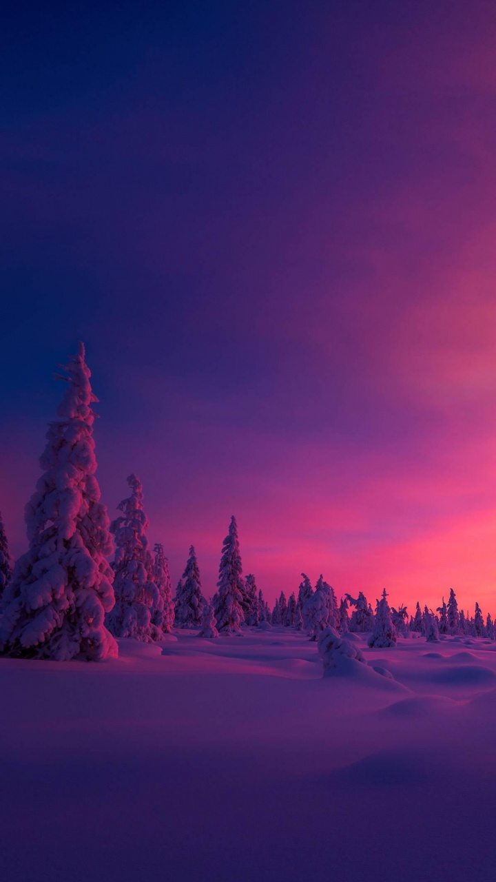 North Pole, Arctic, Atmosphere, Cloud, Plant. Wallpaper in 720x1280 Resolution
