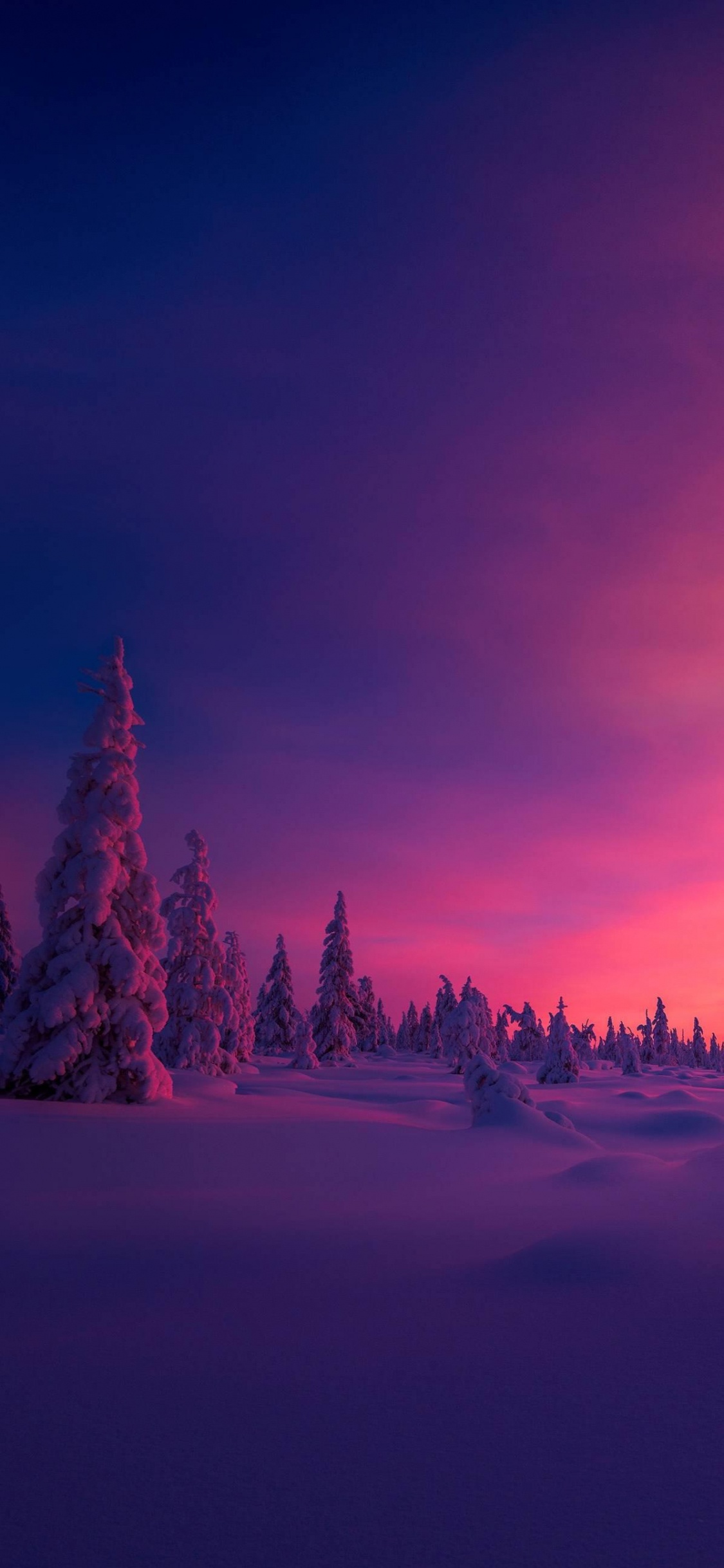 Pôle Nord, de L'arctique, Atmosphère, Paysage Naturel, Mélèze. Wallpaper in 1125x2436 Resolution