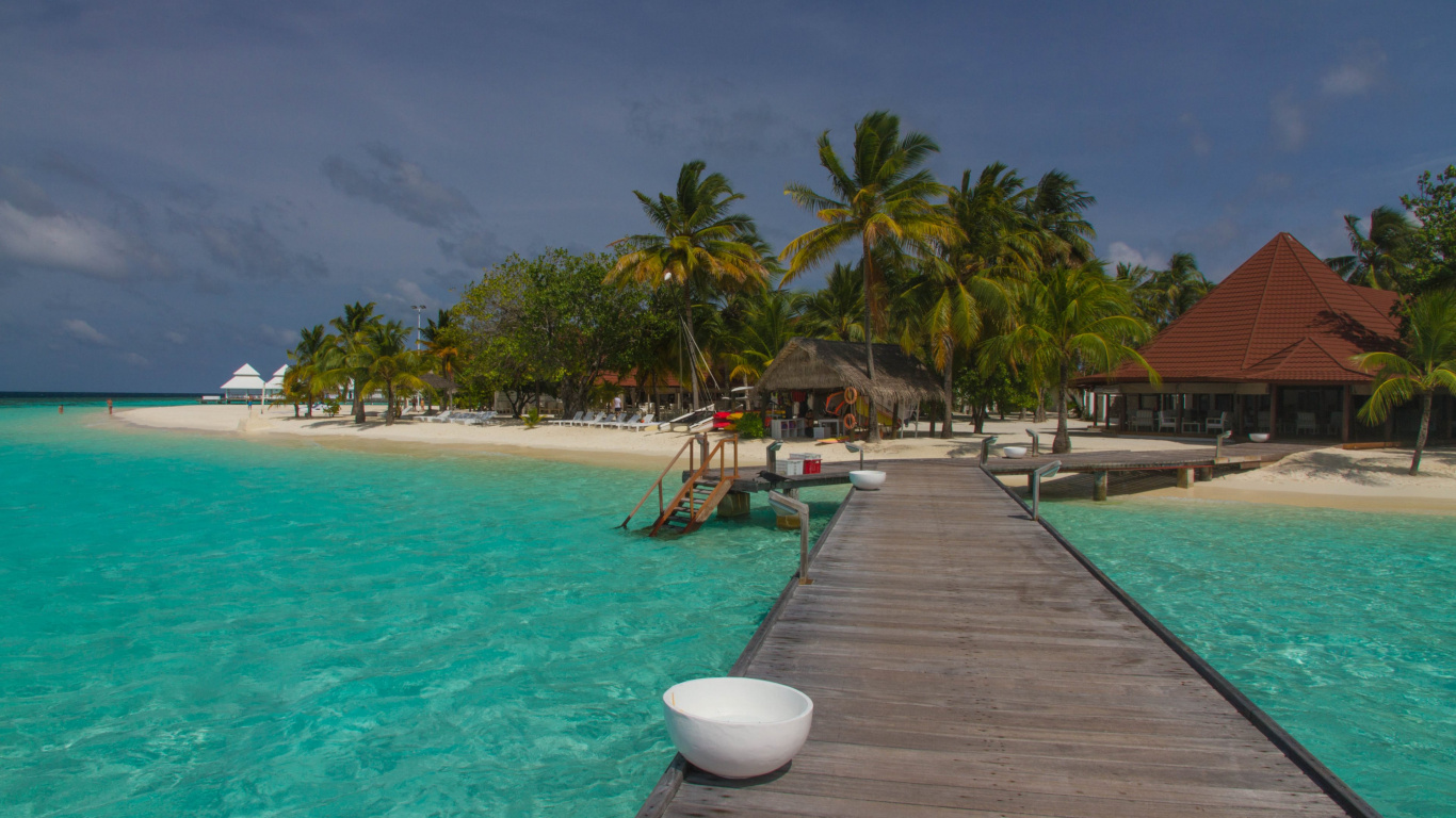 Palm Trees Near Swimming Pool During Daytime. Wallpaper in 1366x768 Resolution