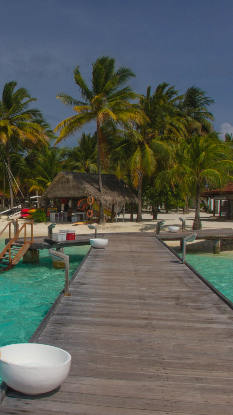 Palmen in Der Nähe Des Pools Tagsüber. Wallpaper in 750x1334 Resolution