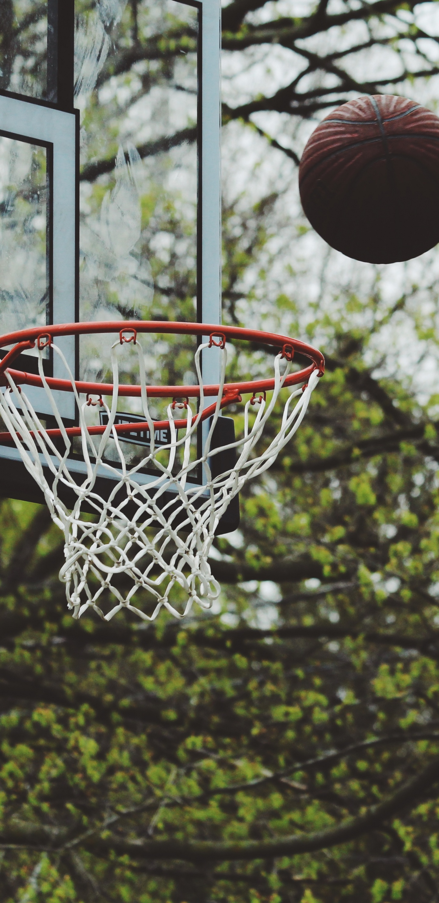 篮球, 篮板, 球, 篮球场, 街头 壁纸 1440x2960 允许