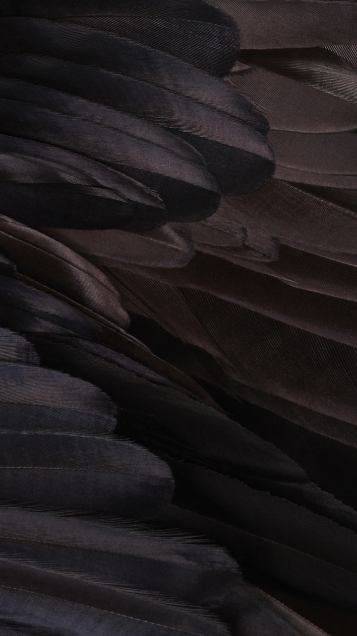 Antelope Canyon, Google, Smartphone, Google Pixel Xl, Android. Wallpaper in 720x1280 Resolution