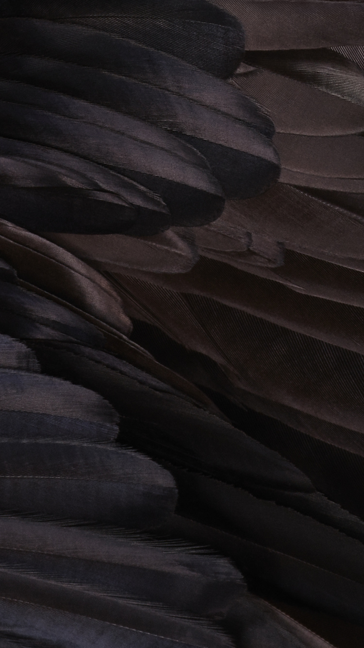 羚羊谷, 谷歌, 智能手机, 谷歌像素XL, 安卓 壁纸 750x1334 允许