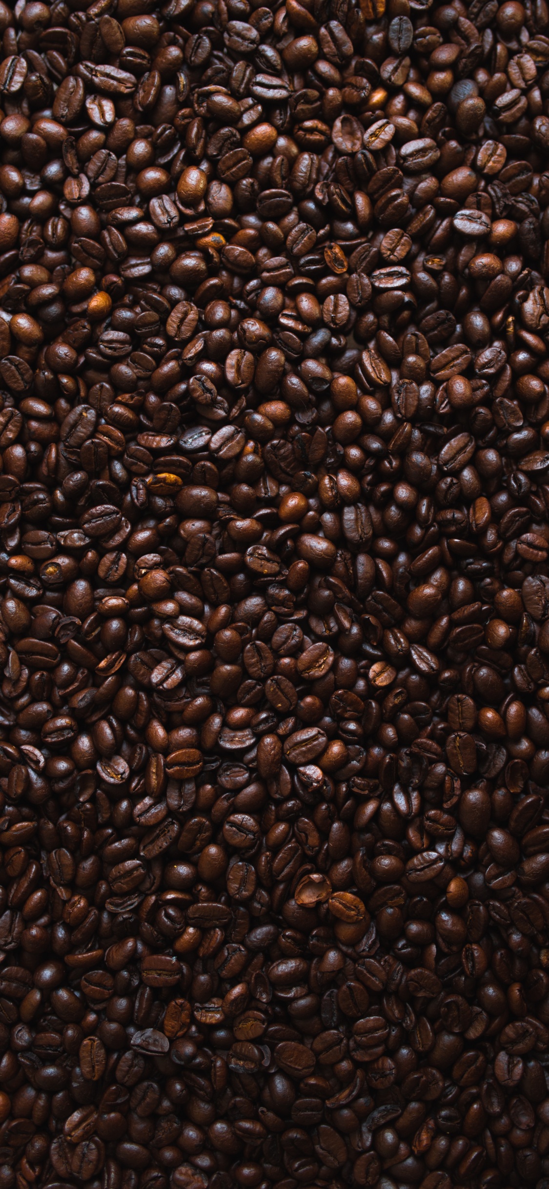 Brown Coffee Beans on White Ceramic Plate. Wallpaper in 1125x2436 Resolution