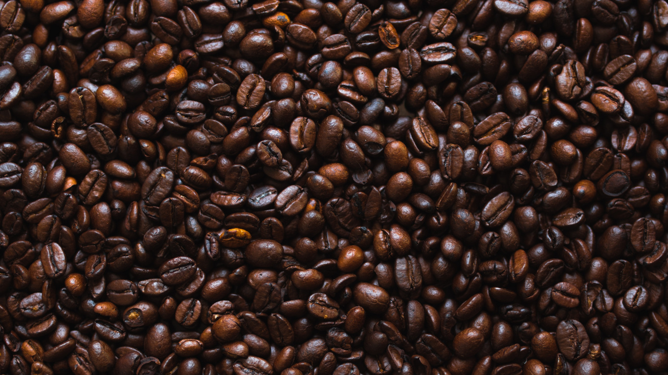 Brown Coffee Beans on White Ceramic Plate. Wallpaper in 1366x768 Resolution