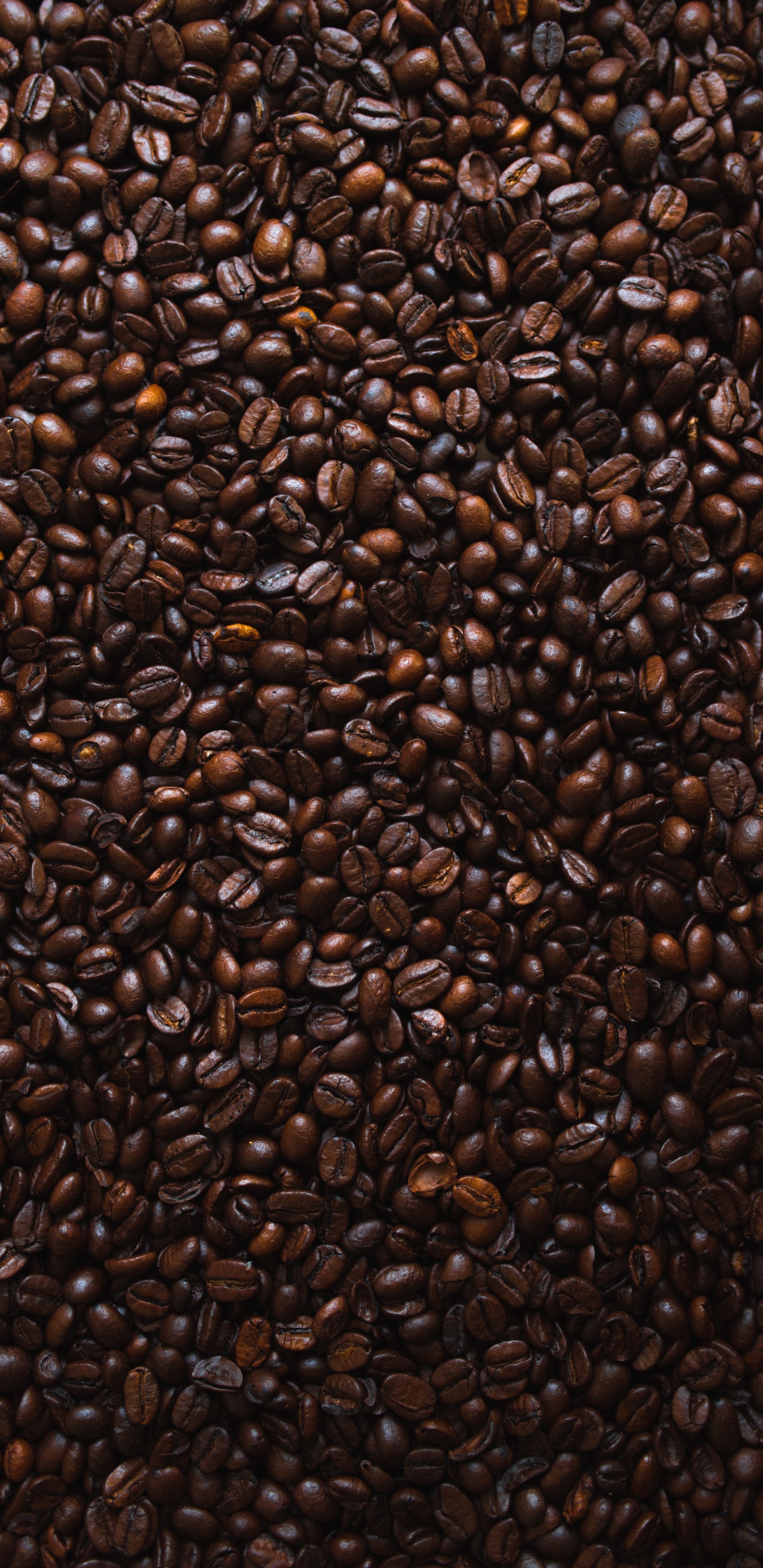 Brown Coffee Beans on White Ceramic Plate. Wallpaper in 1440x2960 Resolution