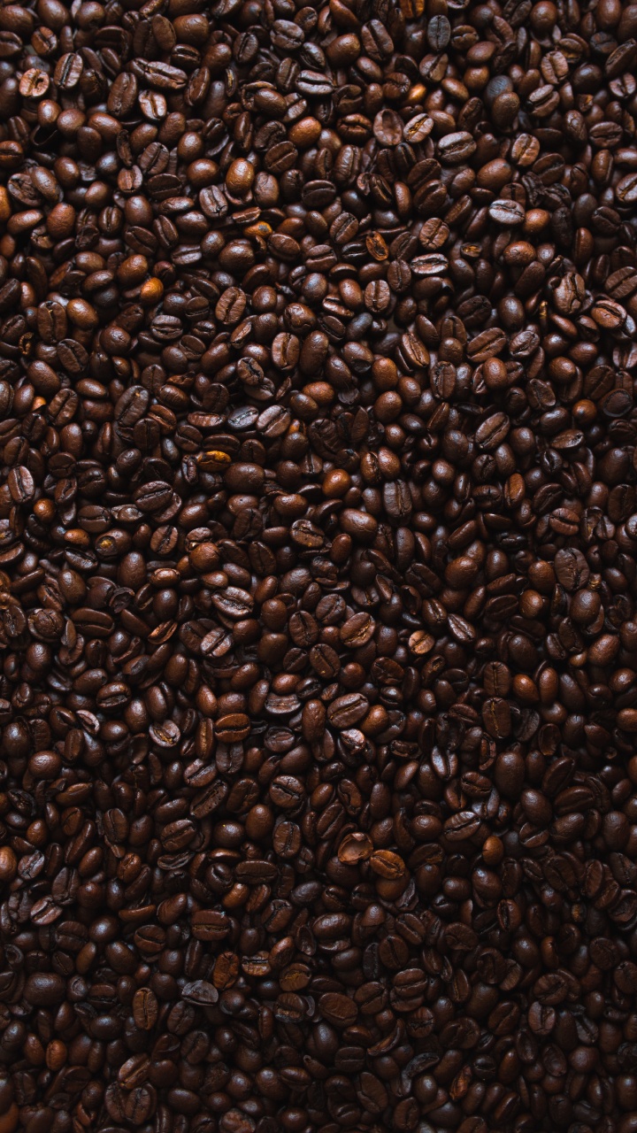 Brown Coffee Beans on White Ceramic Plate. Wallpaper in 720x1280 Resolution