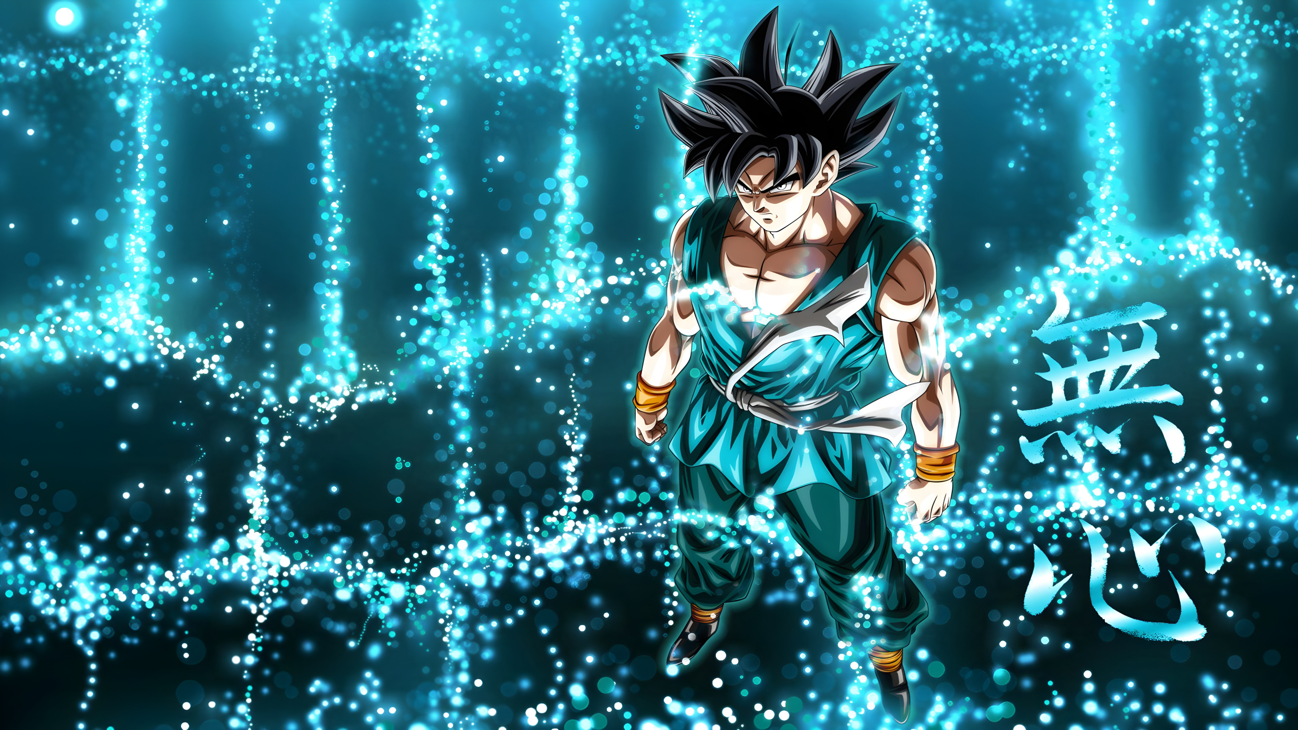 L'anime, Dragon Ball Super, Goku, Zamasu, Dragon Ball. Wallpaper in 2560x1440 Resolution