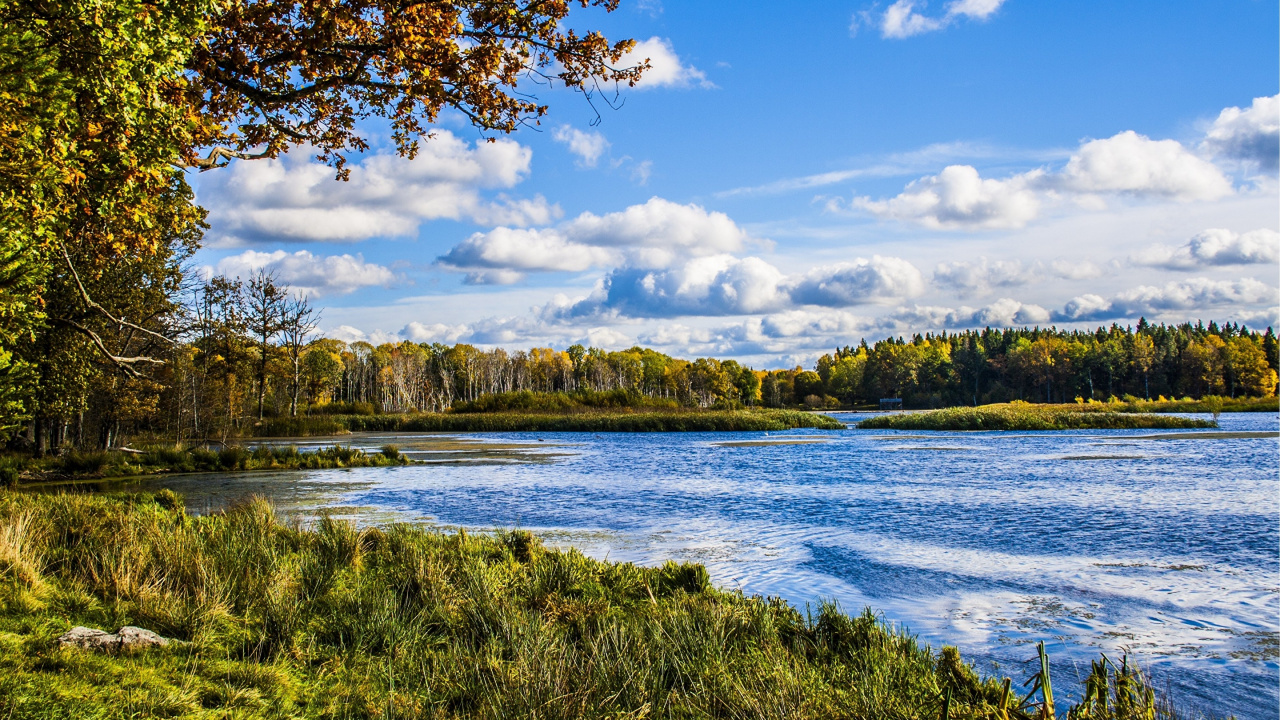 Grüne Wiese in Der Nähe Von Gewässern Unter Blauem Himmel Tagsüber Sky. Wallpaper in 1280x720 Resolution