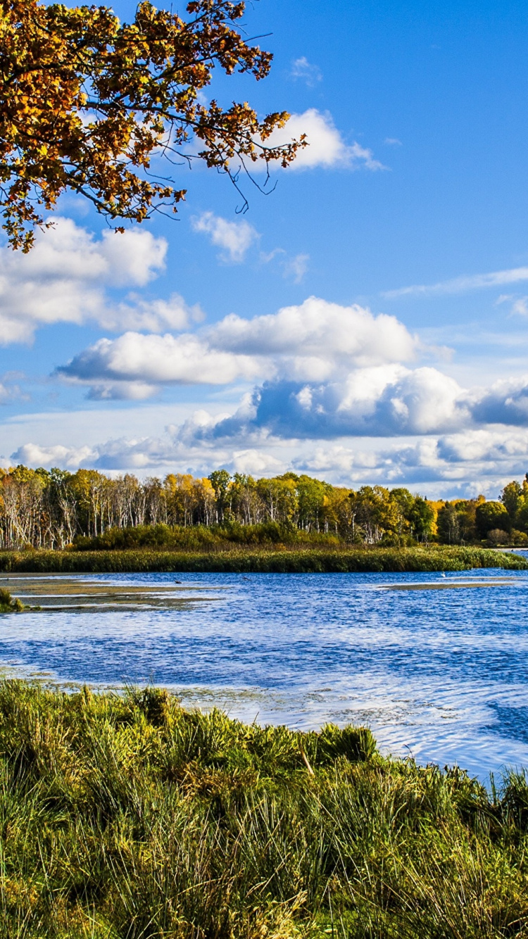Green Grass Field Near Body of Water Under Blue Sky During Daytime. Wallpaper in 750x1334 Resolution