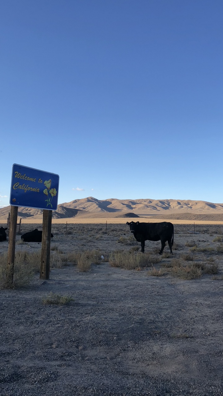 Unis, Nevada, la Vallée de la Mort, Death Valley National Park, Plaine. Wallpaper in 720x1280 Resolution