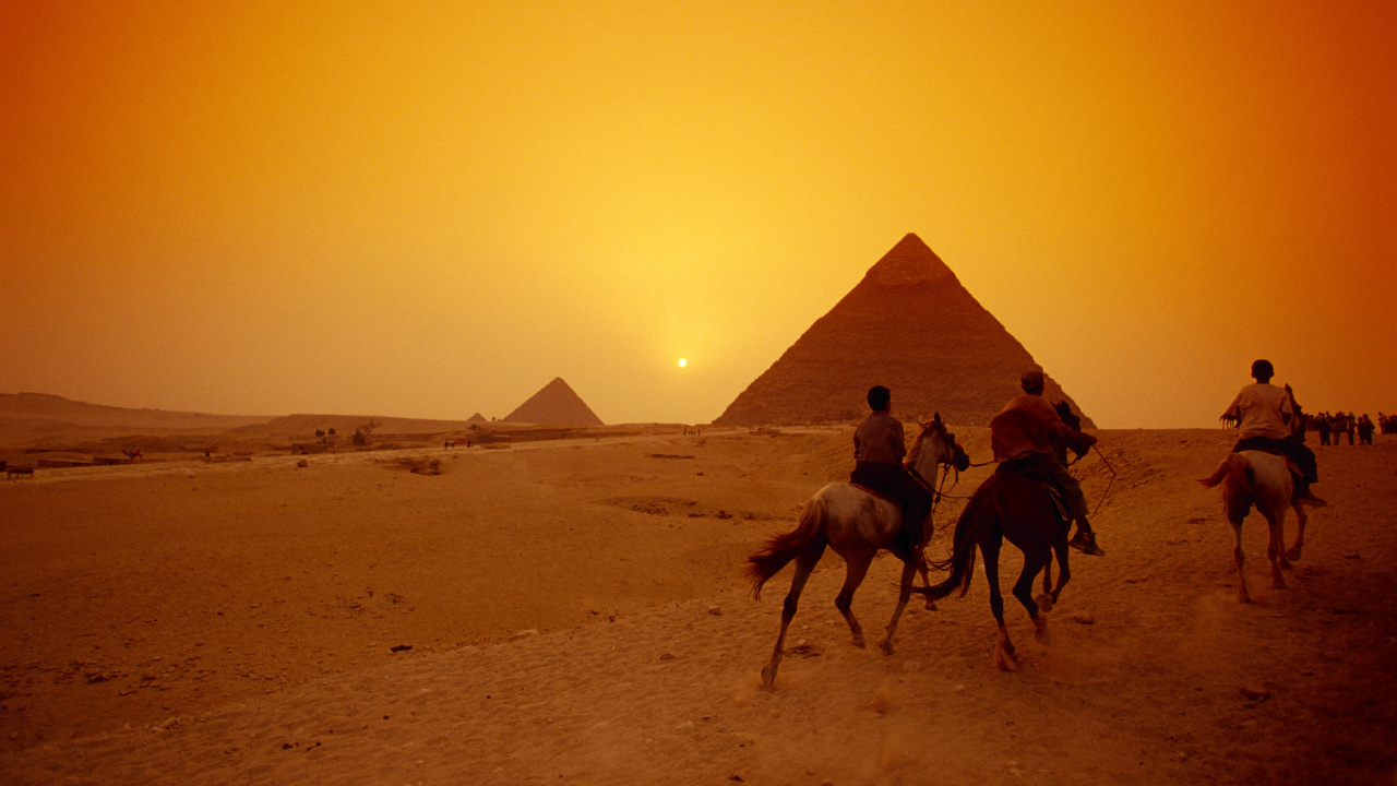 阿拉伯骆驼, 金字塔, 沙, 撒哈拉, 生态区 壁纸 1280x720 允许