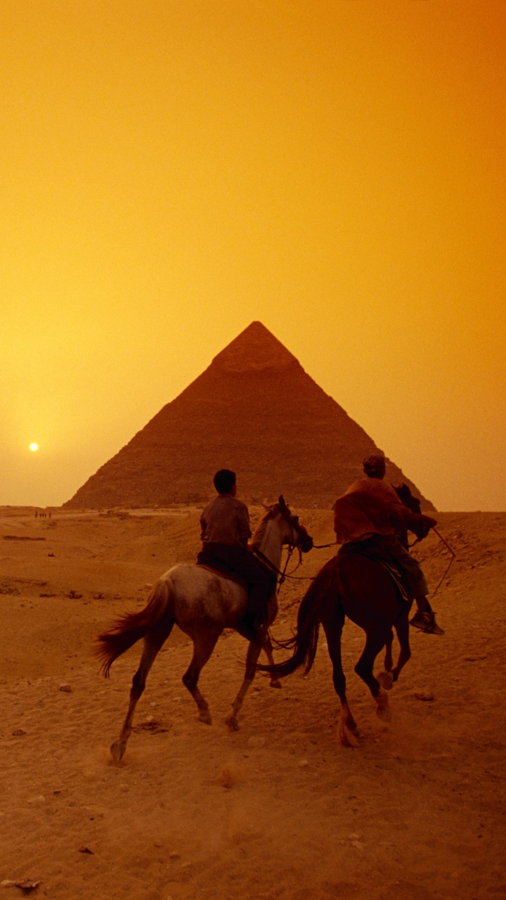 阿拉伯骆驼, 金字塔, 沙, 撒哈拉, 生态区 壁纸 720x1280 允许