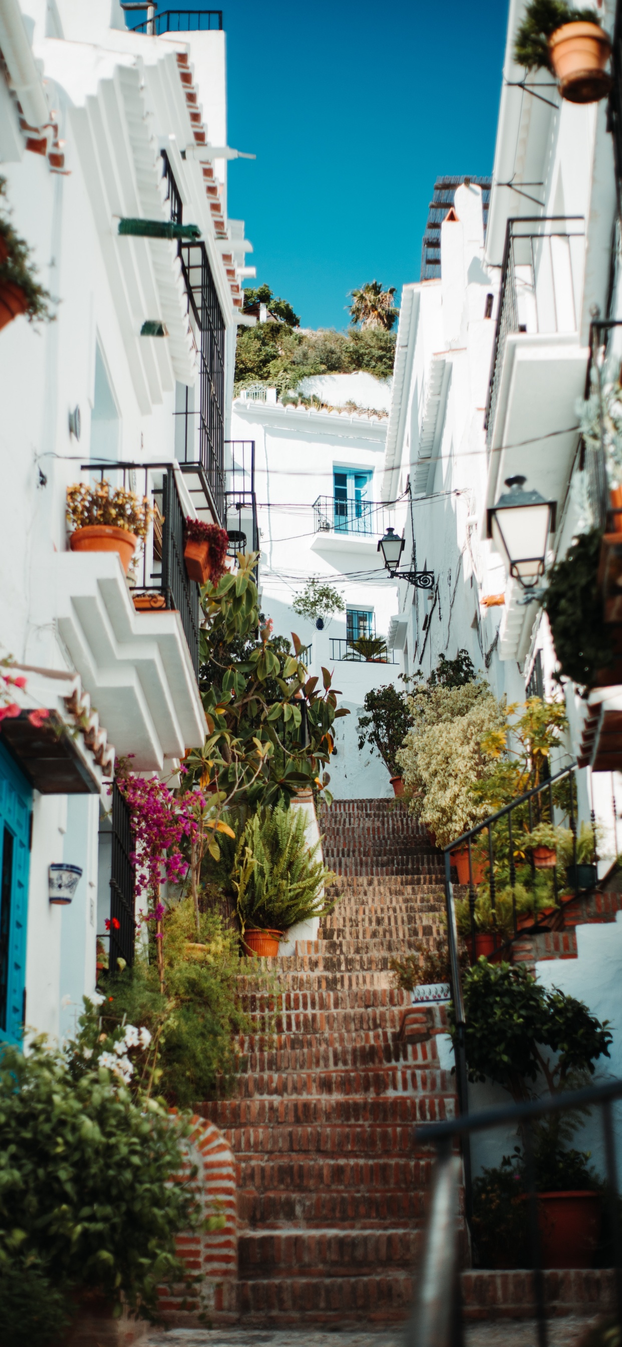 街区, 人类住区, 巷子里, 的房子, 建筑 壁纸 1242x2688 允许
