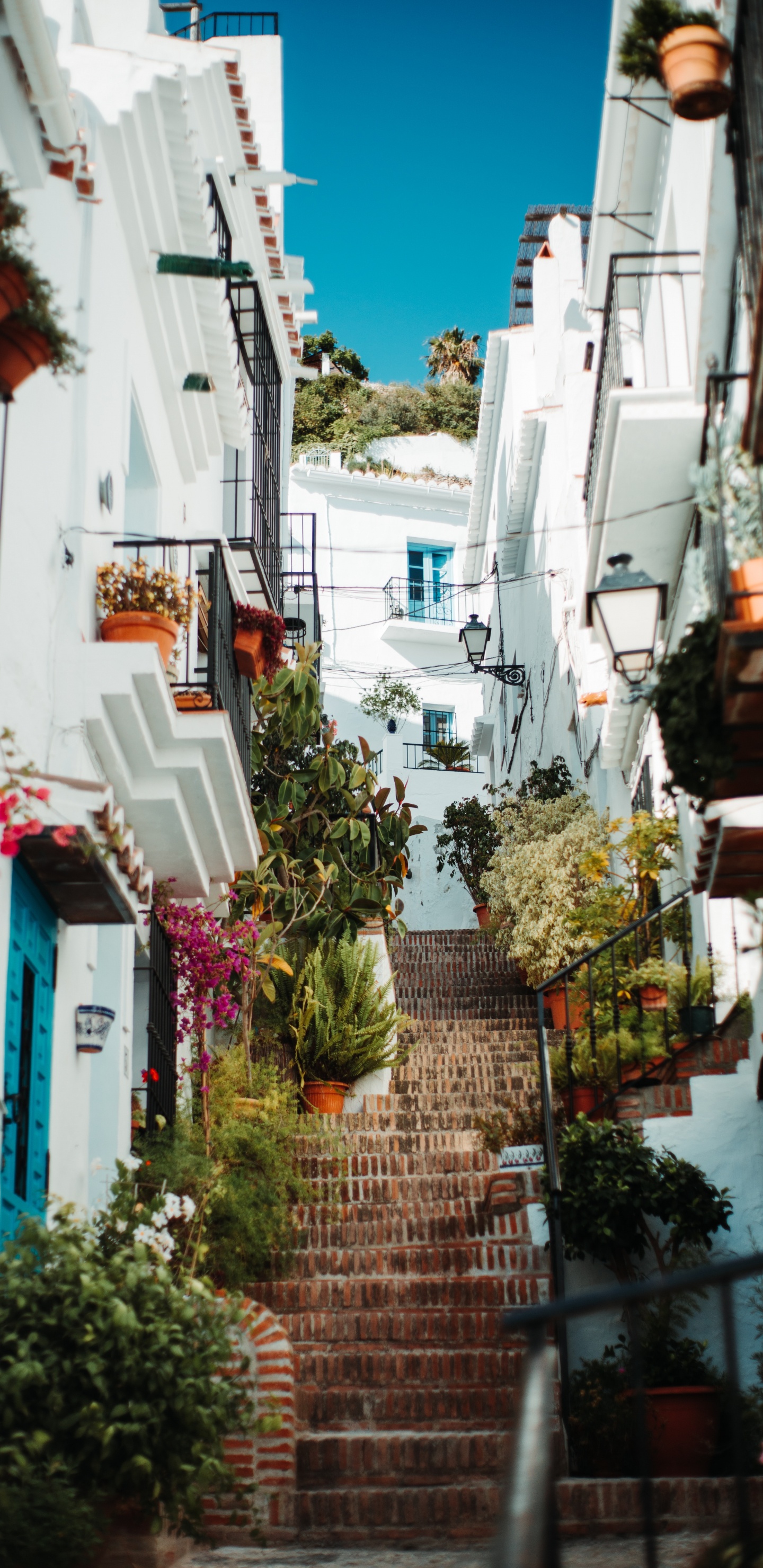 街区, 人类住区, 巷子里, 的房子, 建筑 壁纸 1440x2960 允许