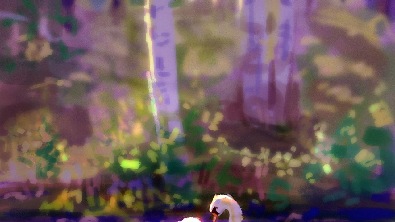 Cygne Blanc Sur L'eau Pendant la Journée. Wallpaper in 1280x720 Resolution