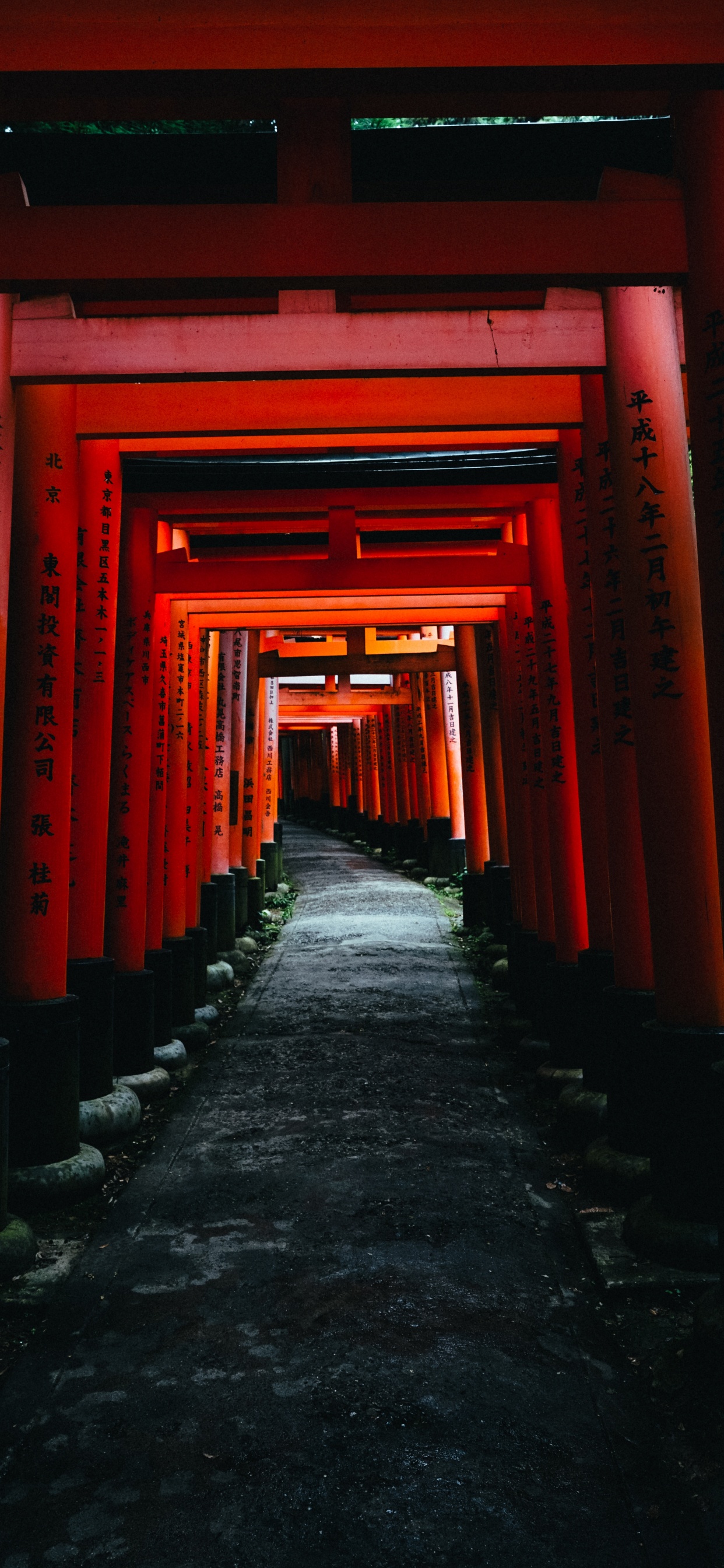 Pasillo Rojo y Negro Con Paredes Rojas. Wallpaper in 1242x2688 Resolution