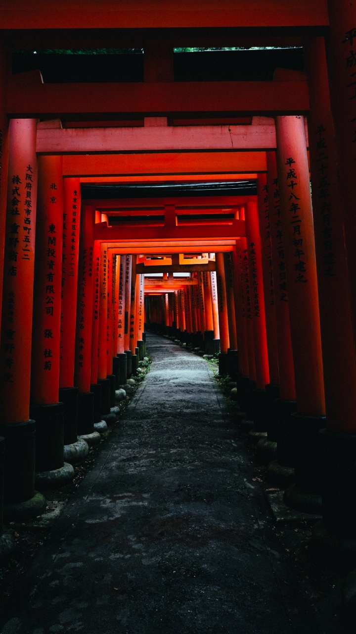 Red and Black Hallway With Red Walls. Wallpaper in 720x1280 Resolution