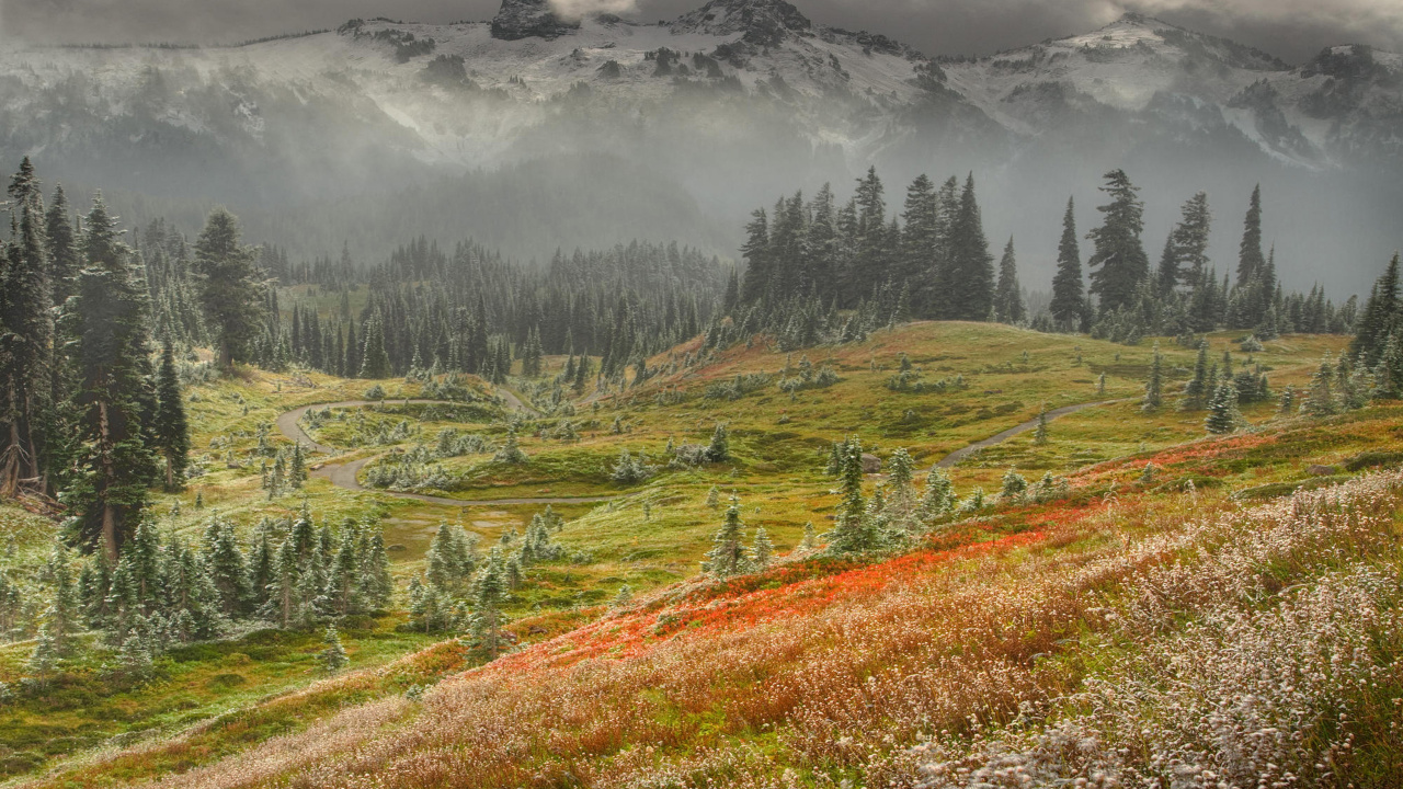 Green Grass Field Near Green Trees and Mountain During Daytime. Wallpaper in 1280x720 Resolution
