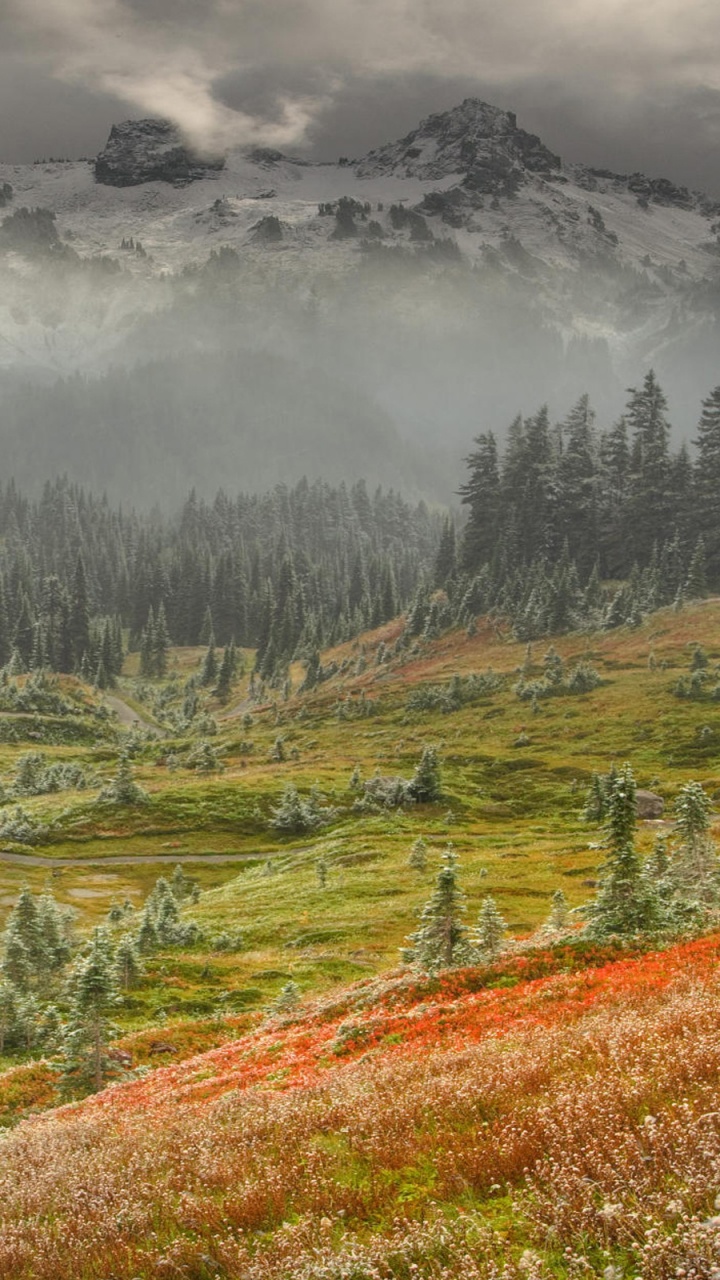 Green Grass Field Near Green Trees and Mountain During Daytime. Wallpaper in 720x1280 Resolution