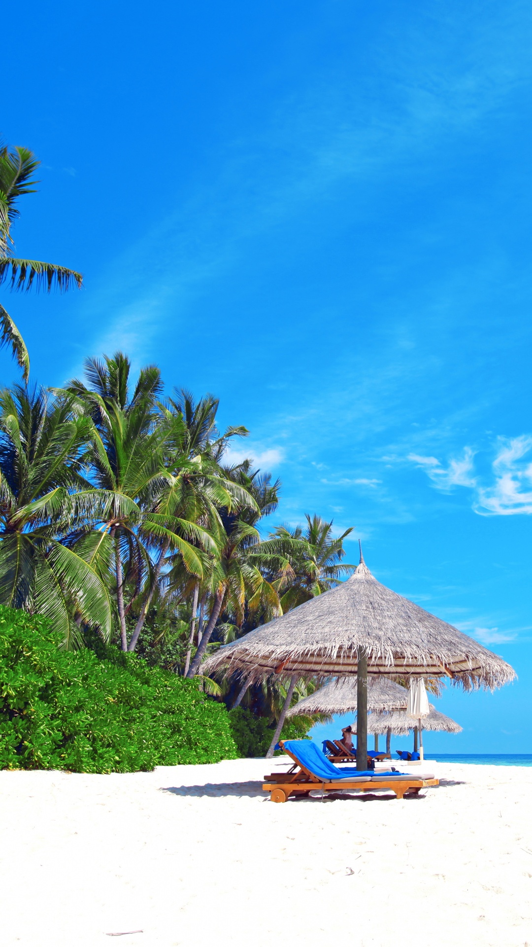 Brown Wooden Beach House Near Palm Trees Under Blue Sky During Daytime. Wallpaper in 1080x1920 Resolution