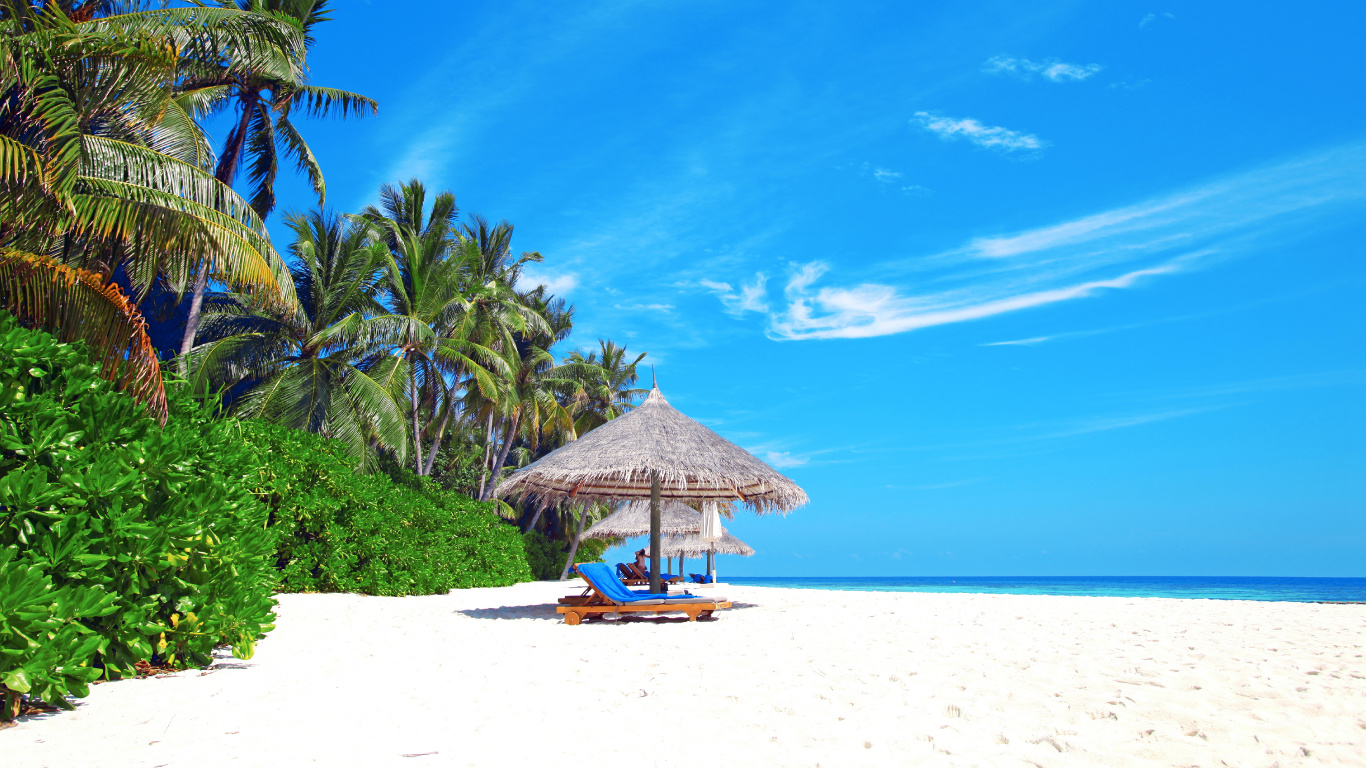 Brown Wooden Beach House Near Palm Trees Under Blue Sky During Daytime. Wallpaper in 1366x768 Resolution