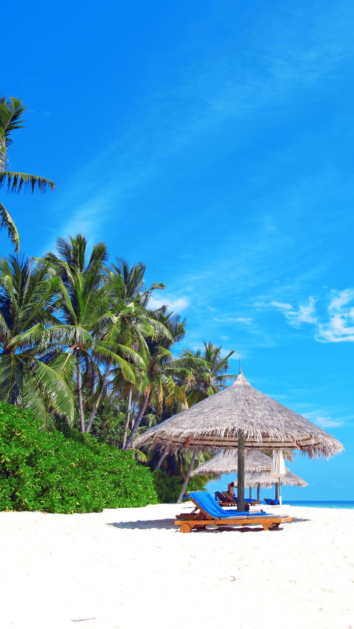 Brown Wooden Beach House Near Palm Trees Under Blue Sky During Daytime. Wallpaper in 720x1280 Resolution