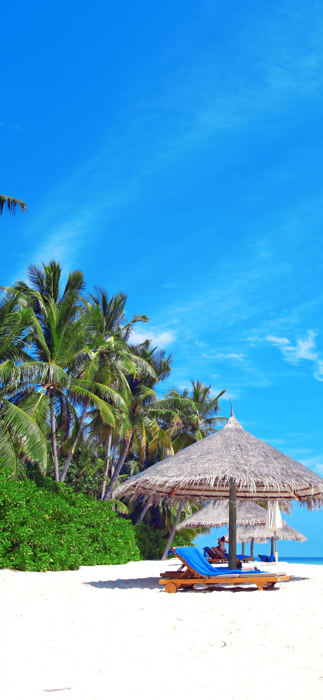 Maison de Plage en Bois Marron Près de Palmiers Sous Ciel Bleu Pendant la Journée. Wallpaper in 1242x2688 Resolution