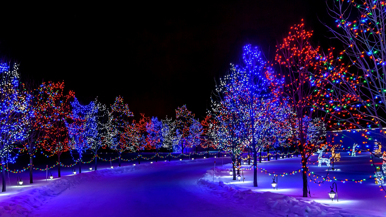 Luces de Navidad, Luz, Azul, Naturaleza, Invierno. Wallpaper in 1280x720 Resolution