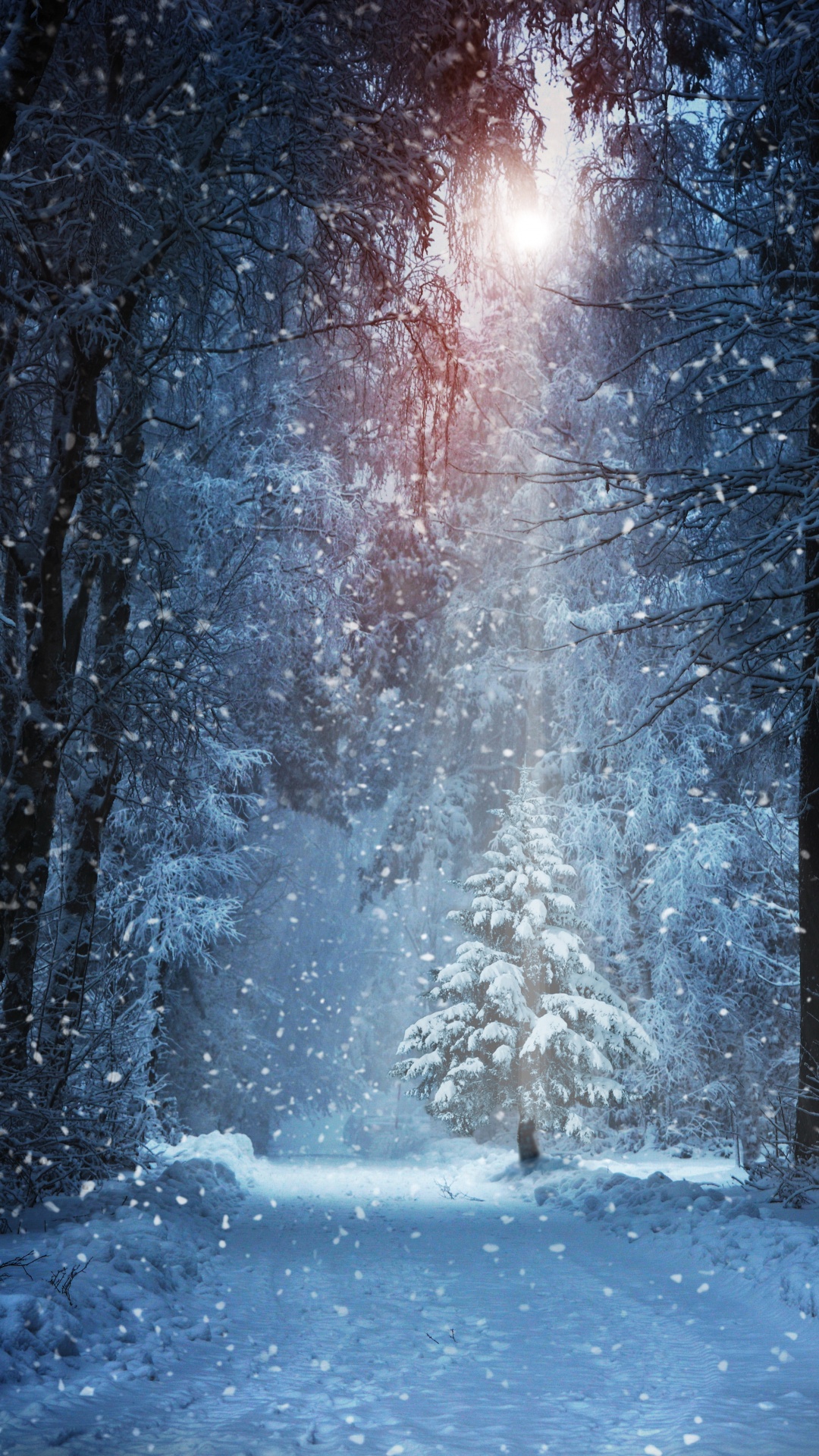 Snow Covered Trees During Daytime. Wallpaper in 1080x1920 Resolution