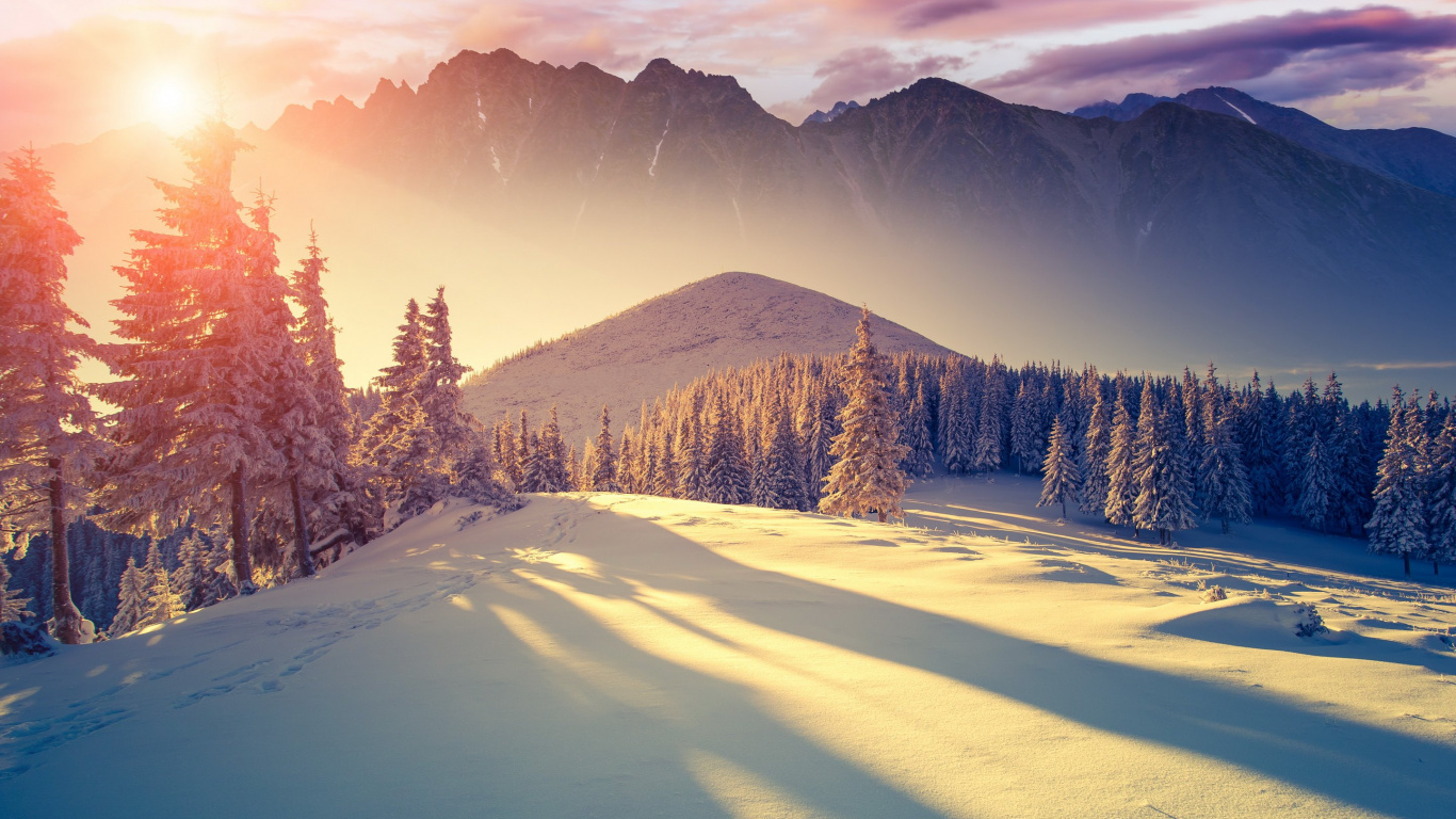 Snow Covered Field With Pine Trees and Mountains in The Distance. Wallpaper in 1366x768 Resolution