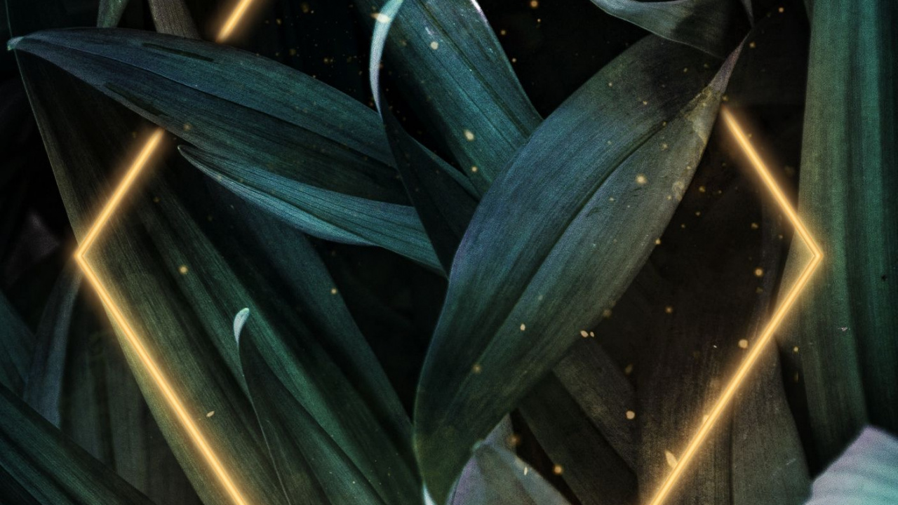 Art, Automotive Lighting, Terrestrial Plant, Electric Blue, Space. Wallpaper in 1280x720 Resolution