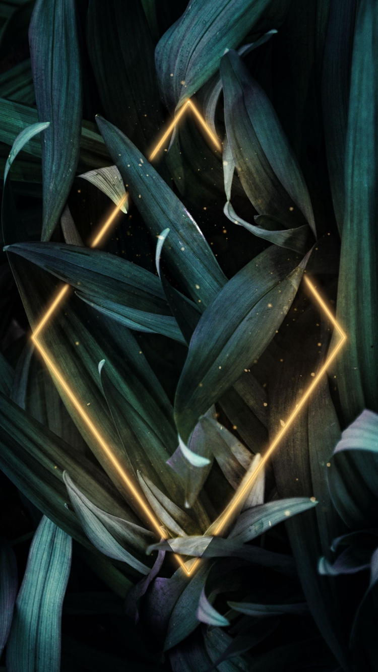 Arte, Iluminación Automotriz, Planta Terrestre, Espacio, Cortina. Wallpaper in 750x1334 Resolution