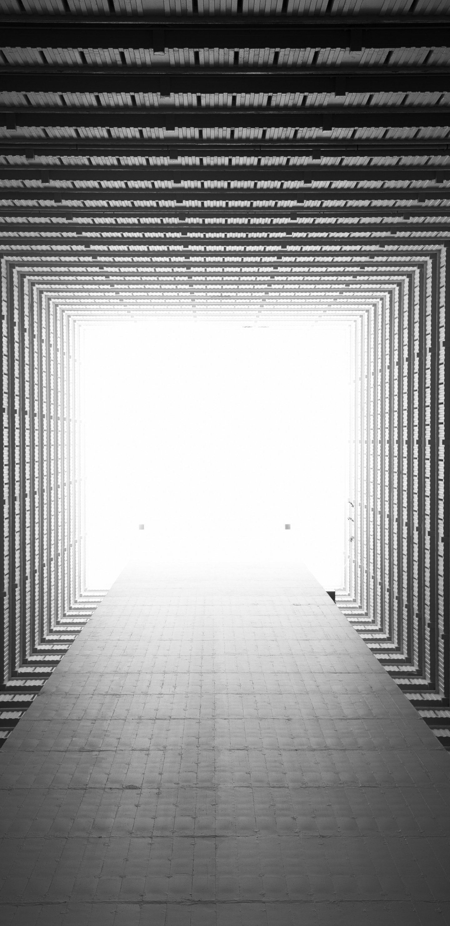 黑色的, 白色, 光, 对称, 建筑 壁纸 1440x2960 允许