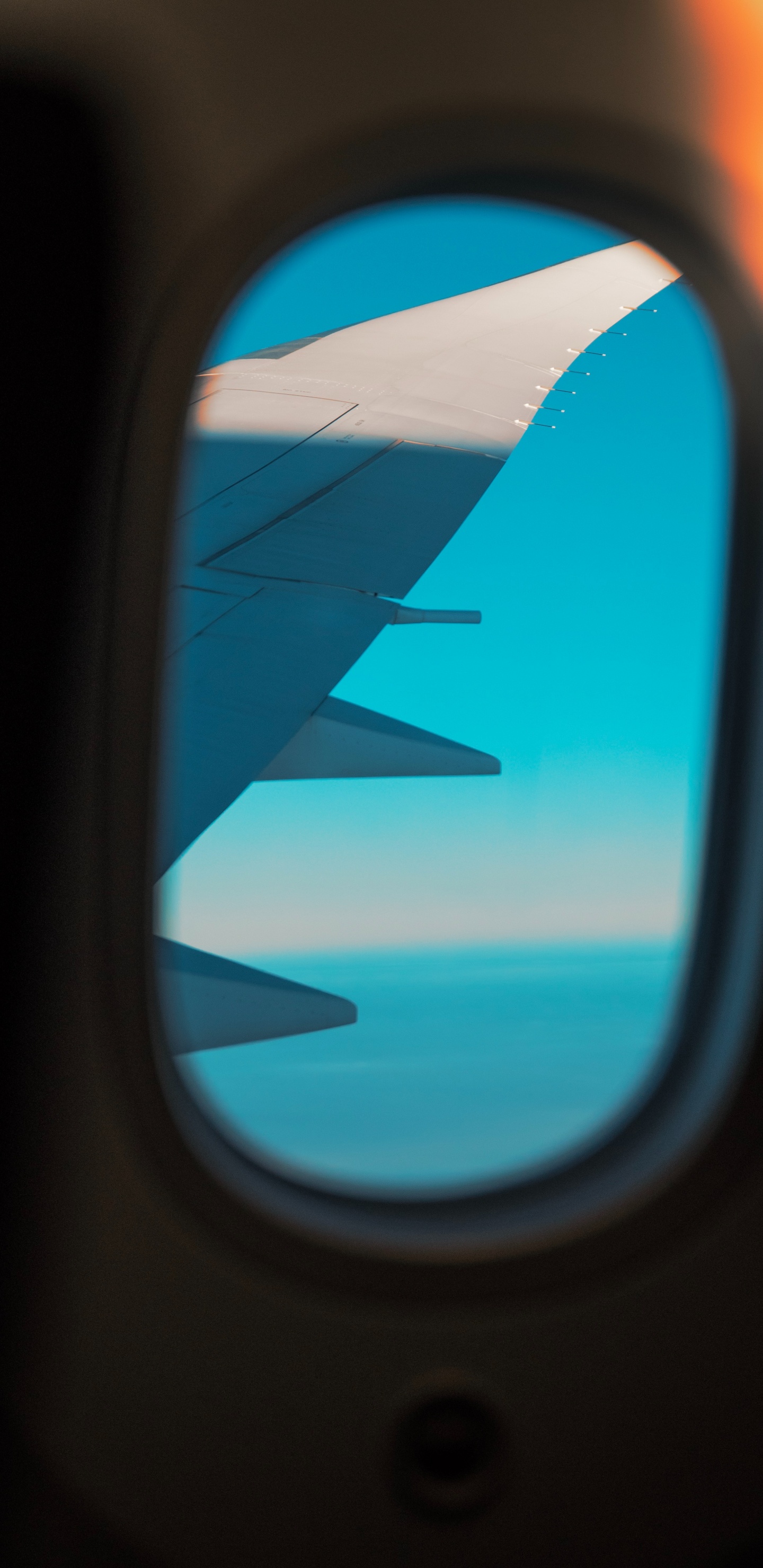 Ala de Avión Blanco y Azul. Wallpaper in 1440x2960 Resolution