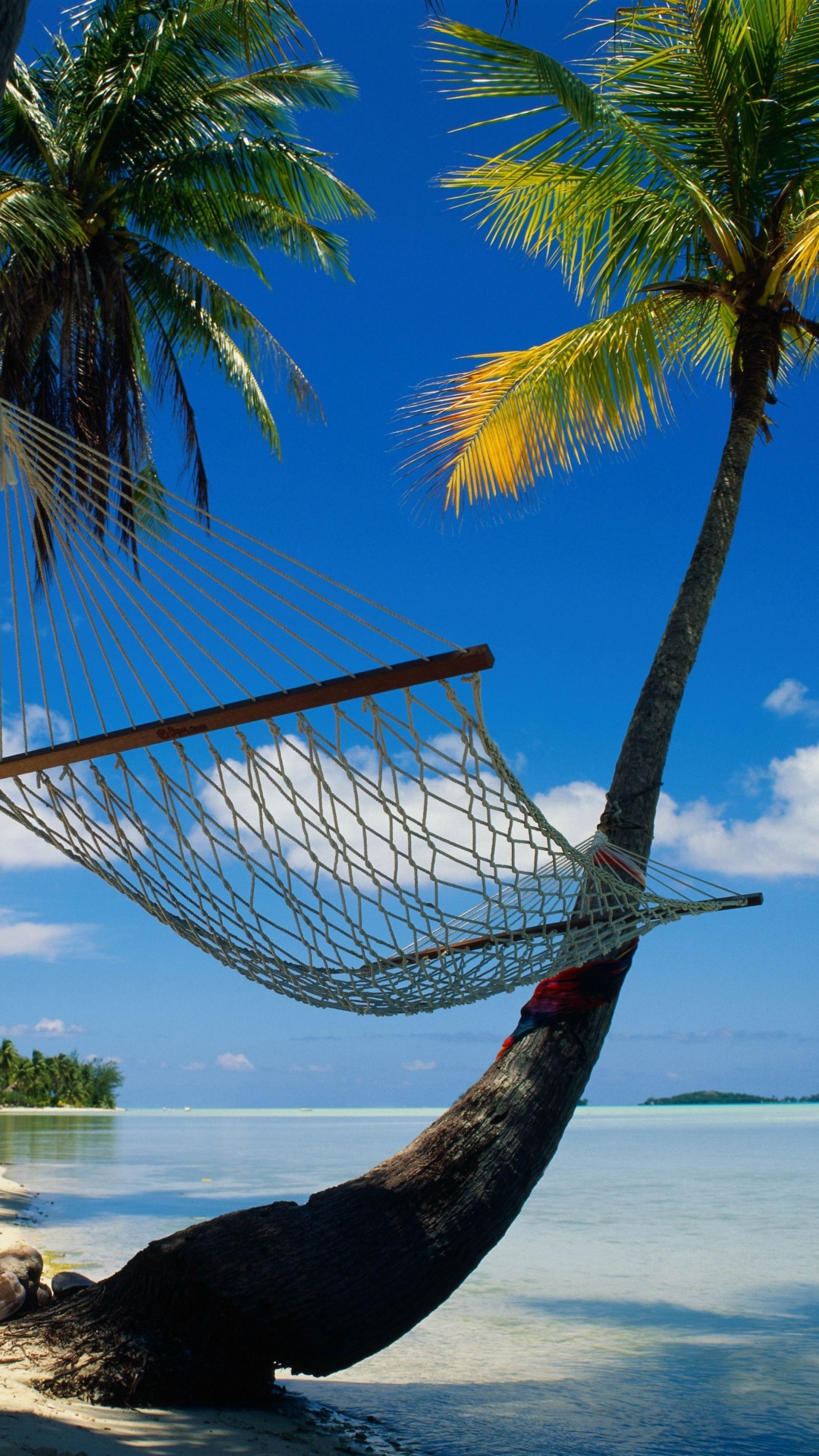 Brown Hammock Hanged on Palm Tree Near Sea During Daytime. Wallpaper in 1080x1920 Resolution