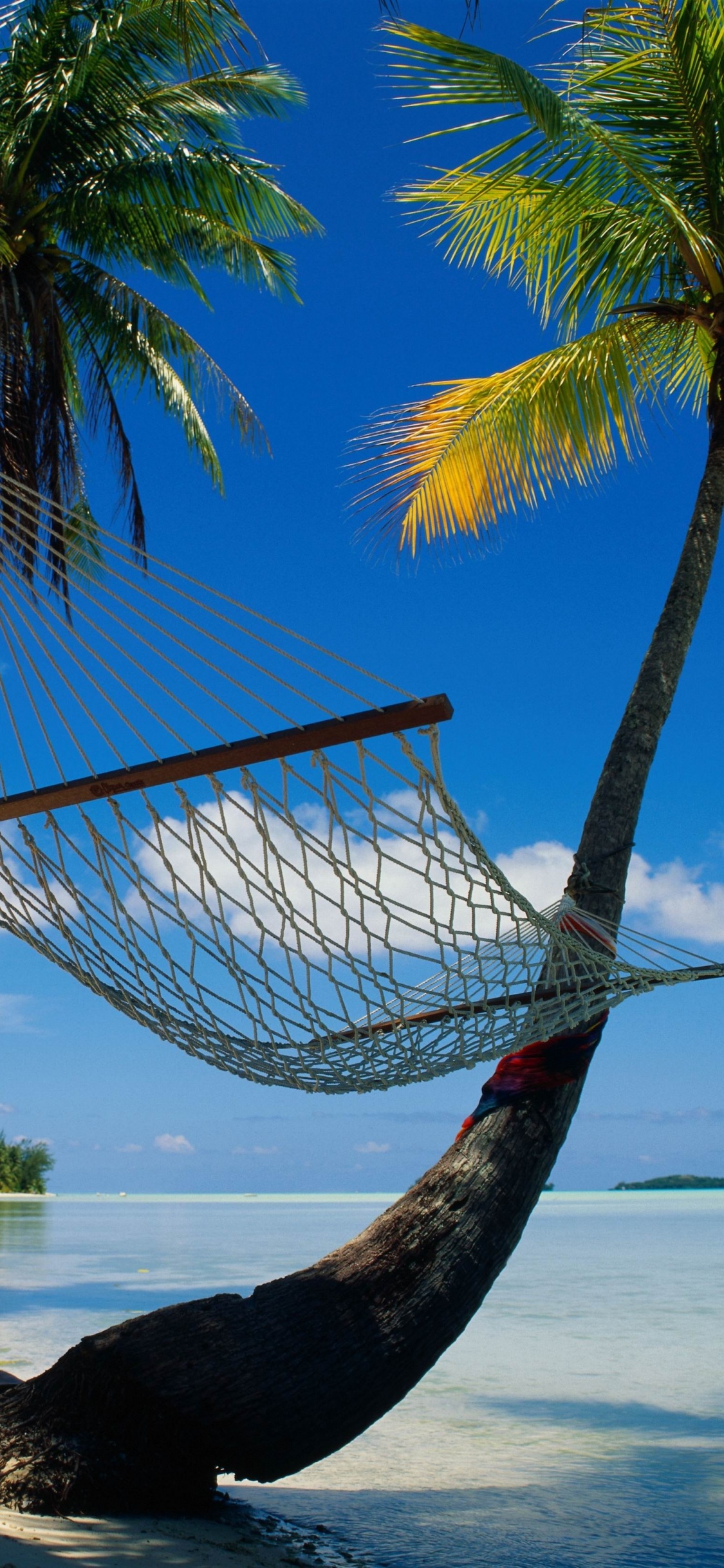 Brown Hammock Hanged on Palm Tree Near Sea During Daytime. Wallpaper in 1125x2436 Resolution
