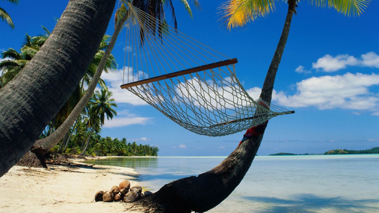 Brown Hammock Hanged on Palm Tree Near Sea During Daytime. Wallpaper in 1280x720 Resolution